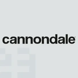 Cannondale 5
